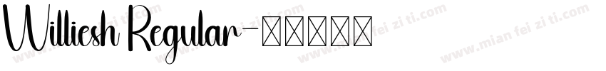 Williesh Regular字体转换